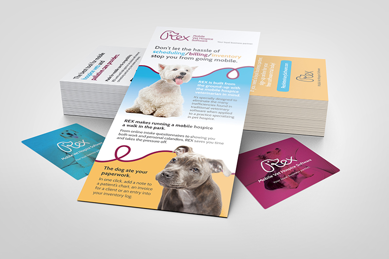 REX Veterinary rack cards designed by Fingerprint Marketing