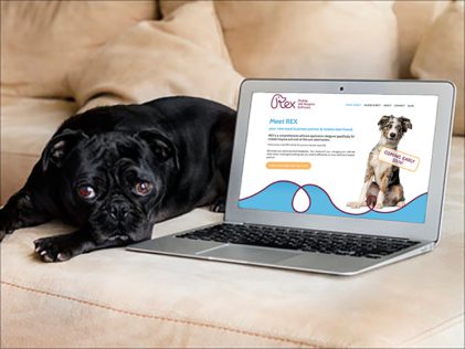 REX Veterinary website designed by Fingerprint Marketing (2015)