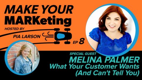 8.  What Your Customer Wants and Can’t Tell You with Melina Palmer